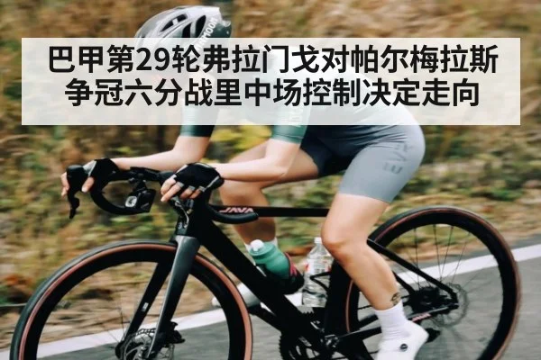 巴甲第29轮弗拉门戈对帕尔梅拉斯 争冠六分战里中场控制决定走向