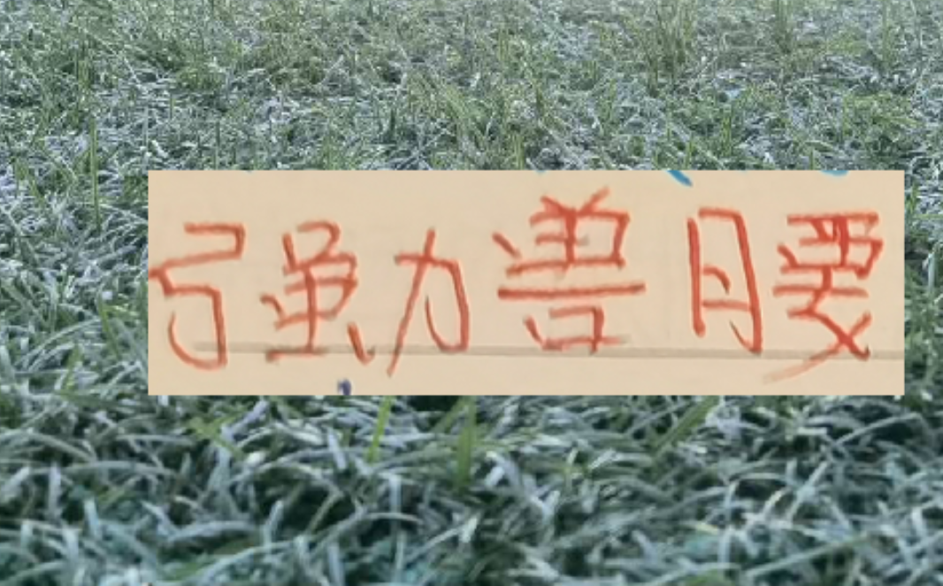 开云官方-中超前4的后腰 反而申花是国产的兽腰 其他球队都是洋货